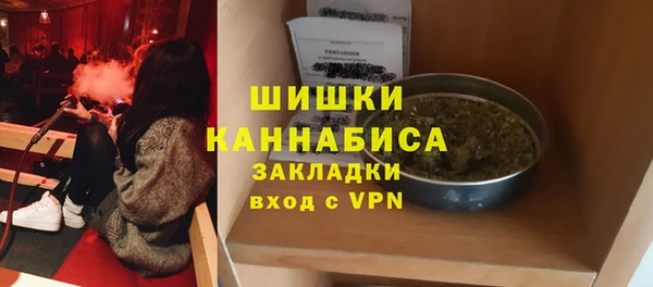 ПСИЛОЦИБИНОВЫЕ ГРИБЫ Балабаново