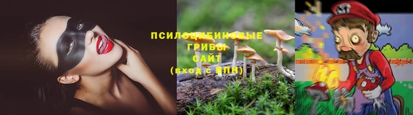 дживик Баксан