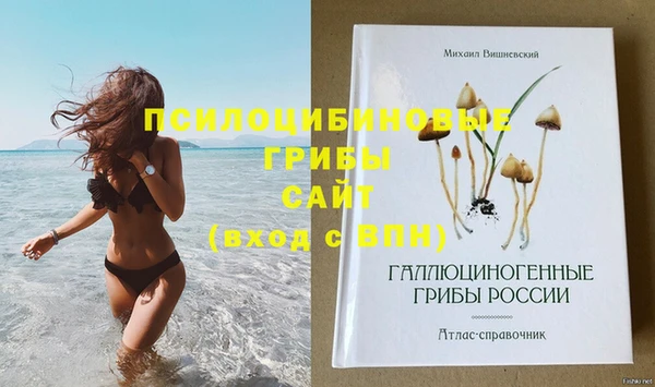 а пвп мука Бугульма