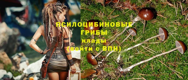 тгк Балахна