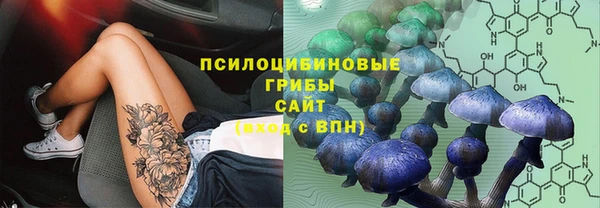 ПСИЛОЦИБИНОВЫЕ ГРИБЫ Балабаново