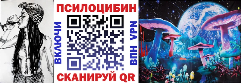Галлюциногенные грибы Psilocybe  купить закладку  Нарткала 